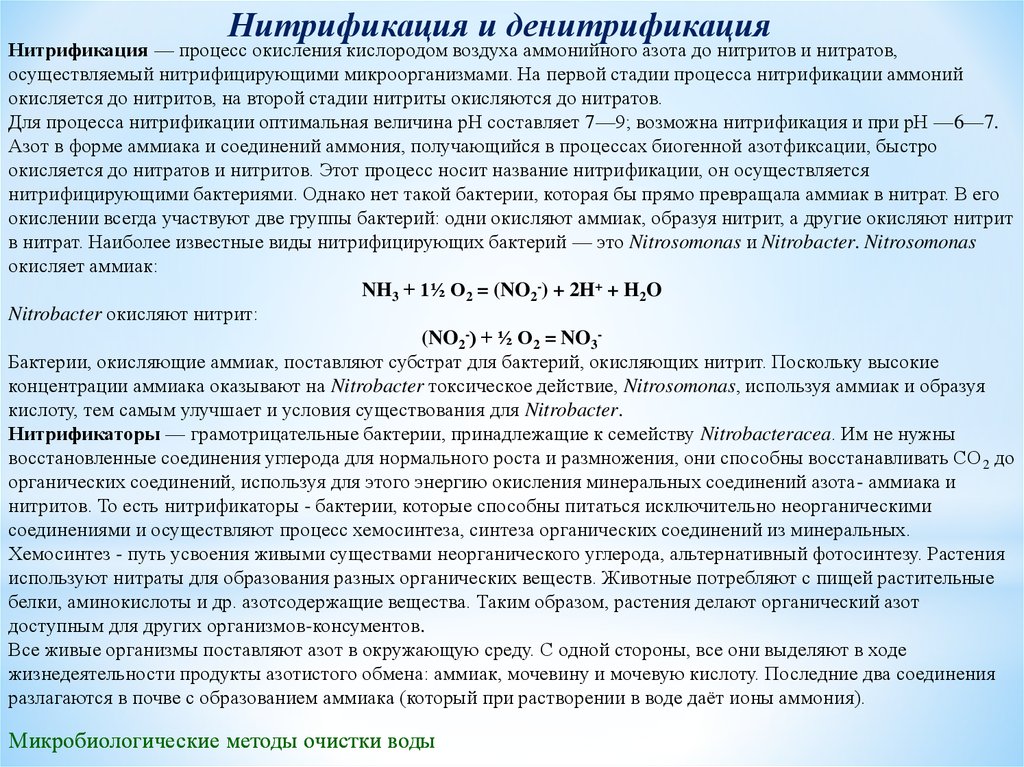 Превращение нитратов в нитриты. Биологическая очистка денитрификация нитрификация. Процессы нитрификации и денитрификации. Нитрификация аммиака. Денитрификация нитратов.