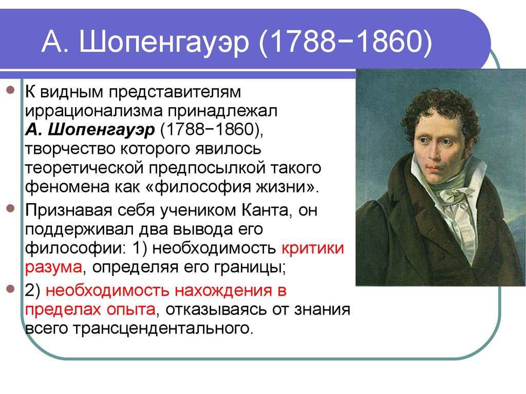 Философский шопенгауэр. Шопенгауэр (1788-1860). Шопенгауэр философия. Шопенгауэр представитель. Творчество Шопенгауэра.