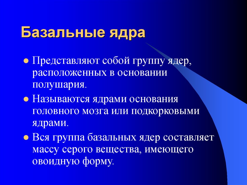 Что представляет собой ядро любой картины мира философия