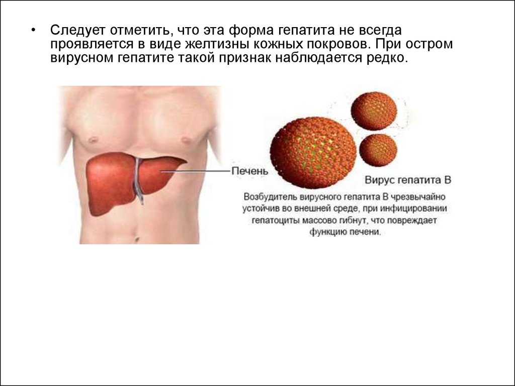 Гепатит с симптомы у женщин. Устойчивость вируса гепатита б. Вирусный гепатит в это инфекция наружных покровов.