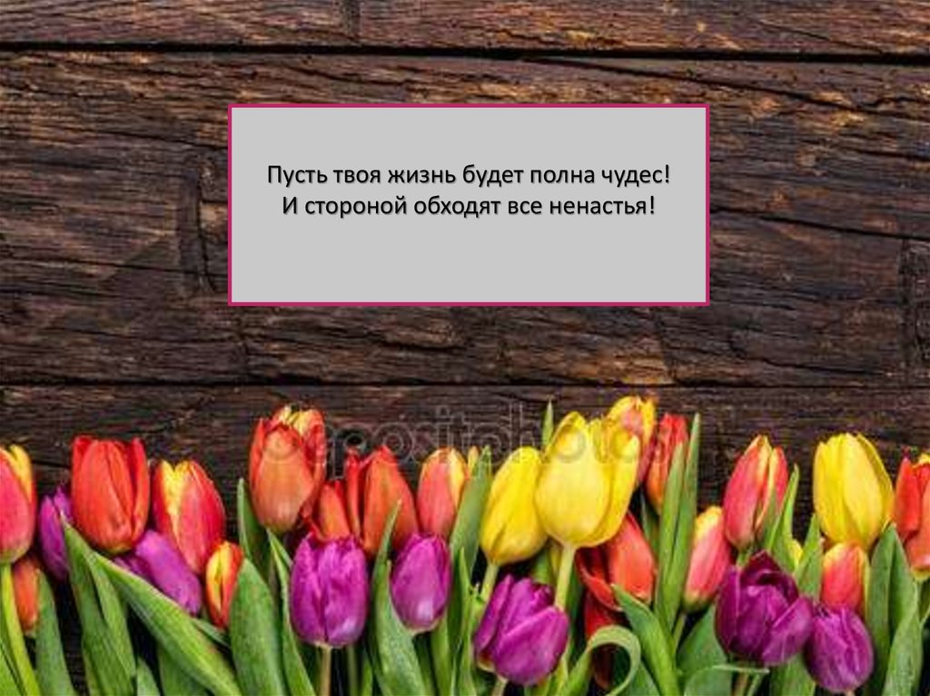 Пусть сторона. Пусть все ненастья обходят стороной. Пусть жизнь будет полна. Пусть в твоей жизни будет. Пусть ненастье обойдёт стороной.