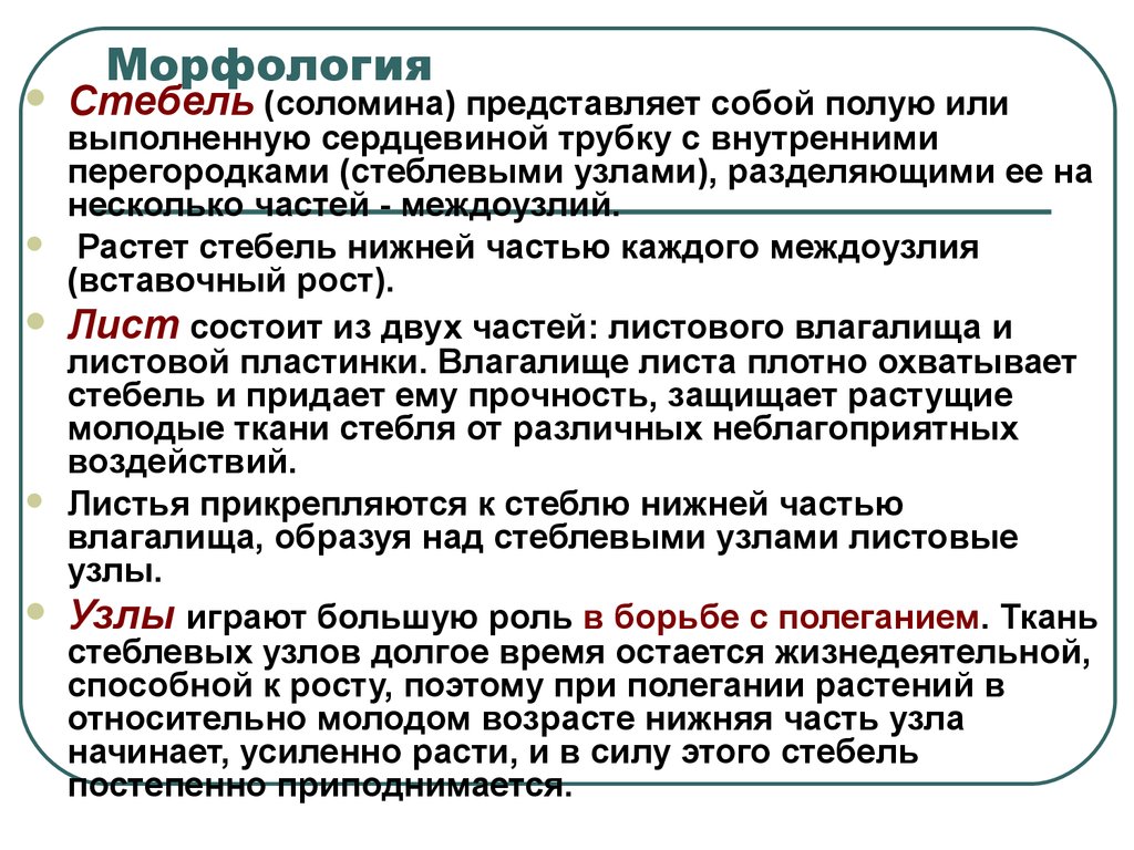 Придают стеблю прочность. Морфология стебля растений. Строение стебля морфология. Стебель. Морфология стебля.. Морфологическая характеристика стебля.