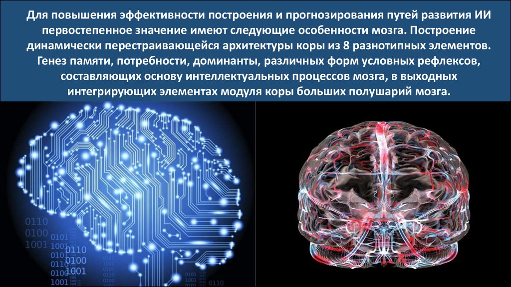 Процесс мозга. Теория высшего разума презентация.