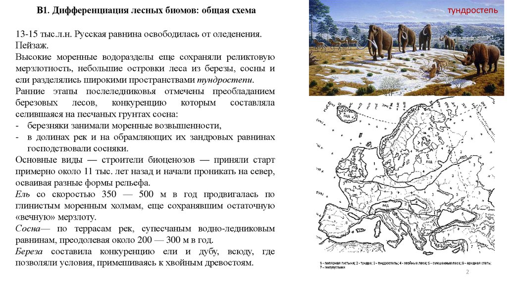 Полезные ископаемые кузбасса карта. Камни магматические осадочные метаморфические. Агроклиматические ресурсы центрального района россии. Месторождения полезных ископаемых латинской америки карта. На равнинах преобладают месторождения.