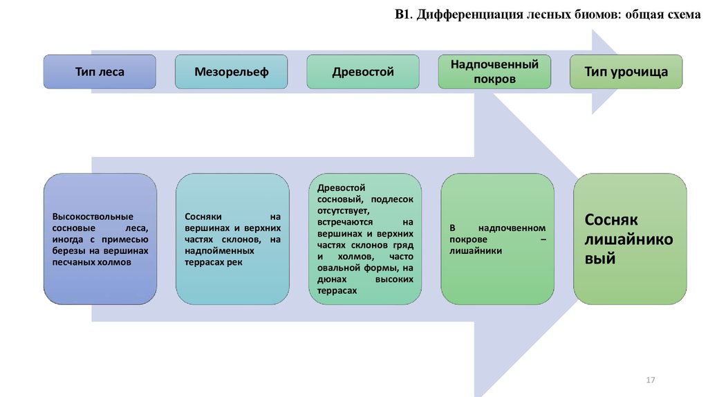 Классификация биомов схема