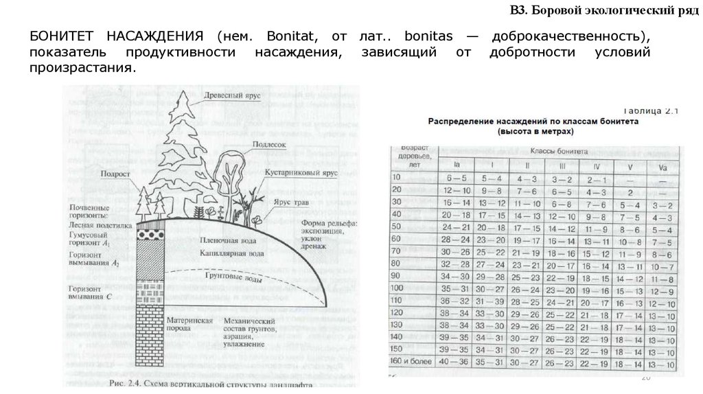 Таблица бонитетов насаждений. Таблица классов бонитета насаждений. Таблица бонитета древостоя. Классы бонитета. Таблица бонитета древостоя.