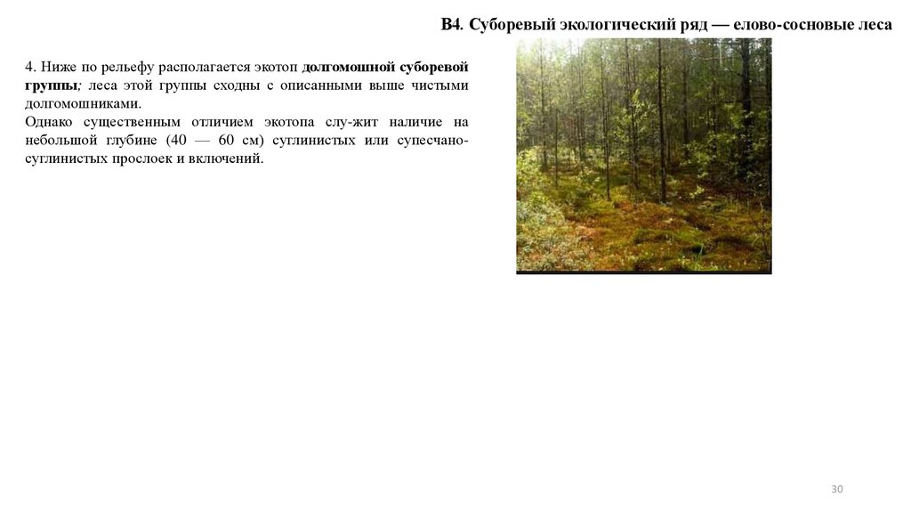 Характеристики соснового и елового леса по группам. Экологические ряды. Метод экологических рядов. Метод экологических рядов был предложен.