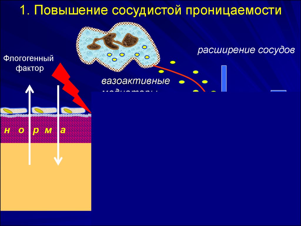 Фактор расширения. Повышение проницаемости сосудов. Повышение проницаемости капилляров. Повышенная проницаемость сосудистой стенки. Повышение проницаемости сосудистой стенки.