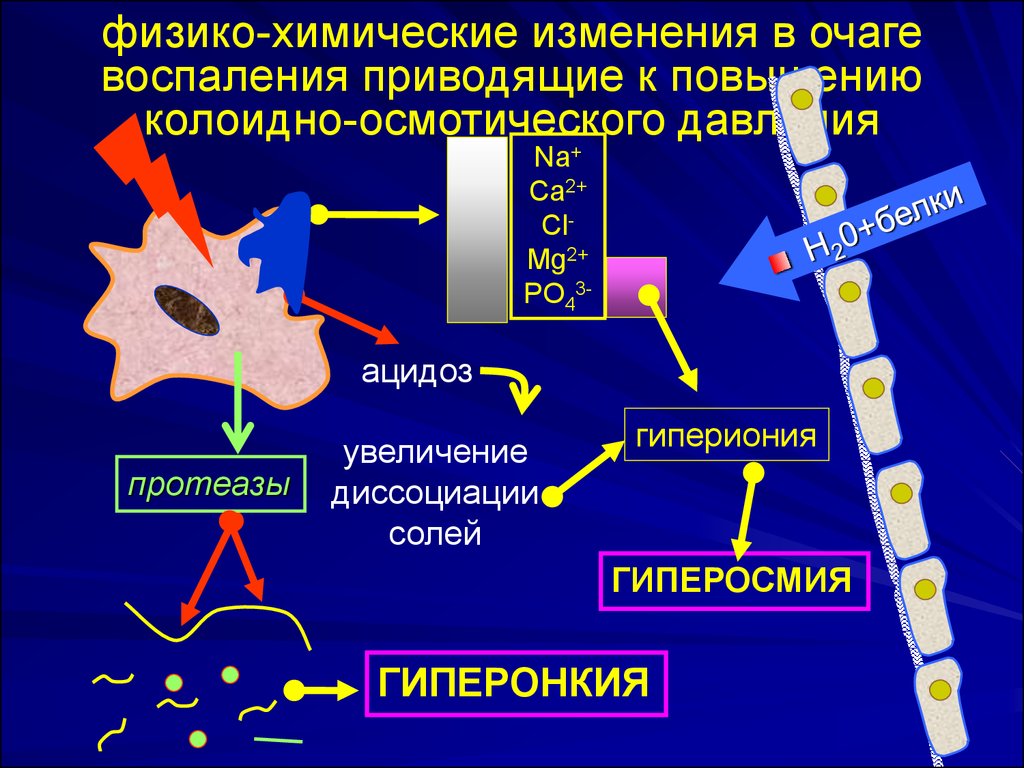 Химические изменения. Биохимические изменения в зоне воспаления. Физико-химические изменения в очаге воспаления. Физико-химические изменения при воспалении. Биохимические изменения в очаге воспаления.