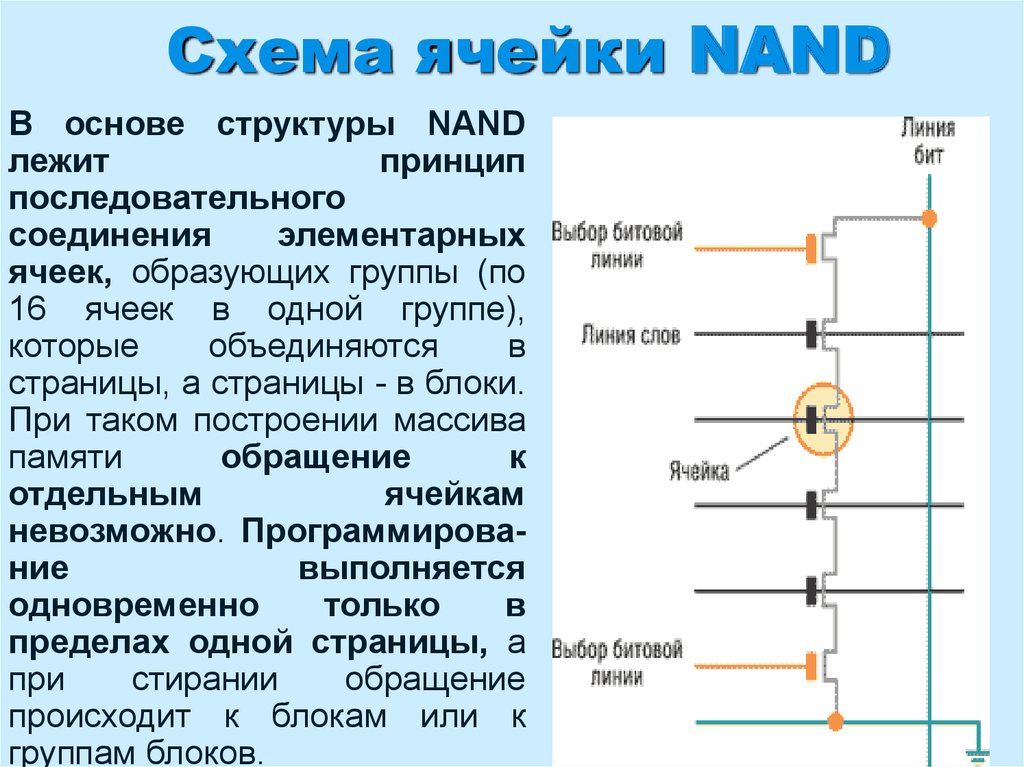 Ячейки общества схема