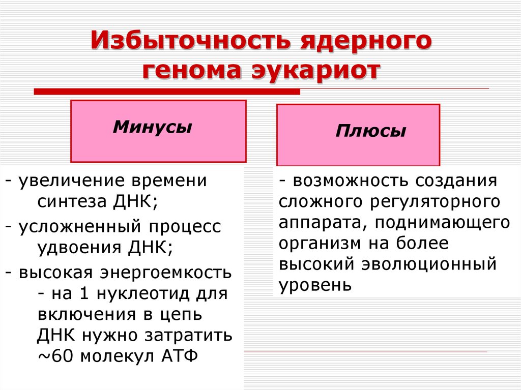 Организация и эволюция ядерного генома презентация