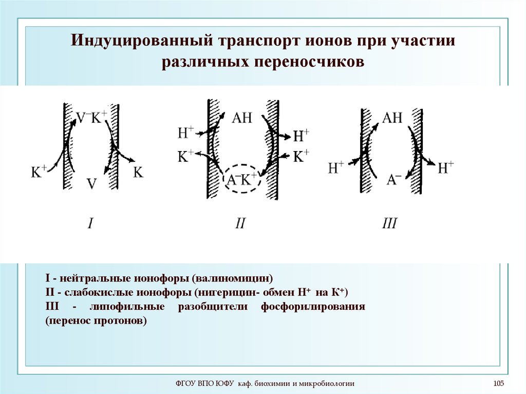 Индуцированный переход. Транспорт ионов. Обменный транспорт ионов. Индуцированный это. Ионофоры валиномицин.