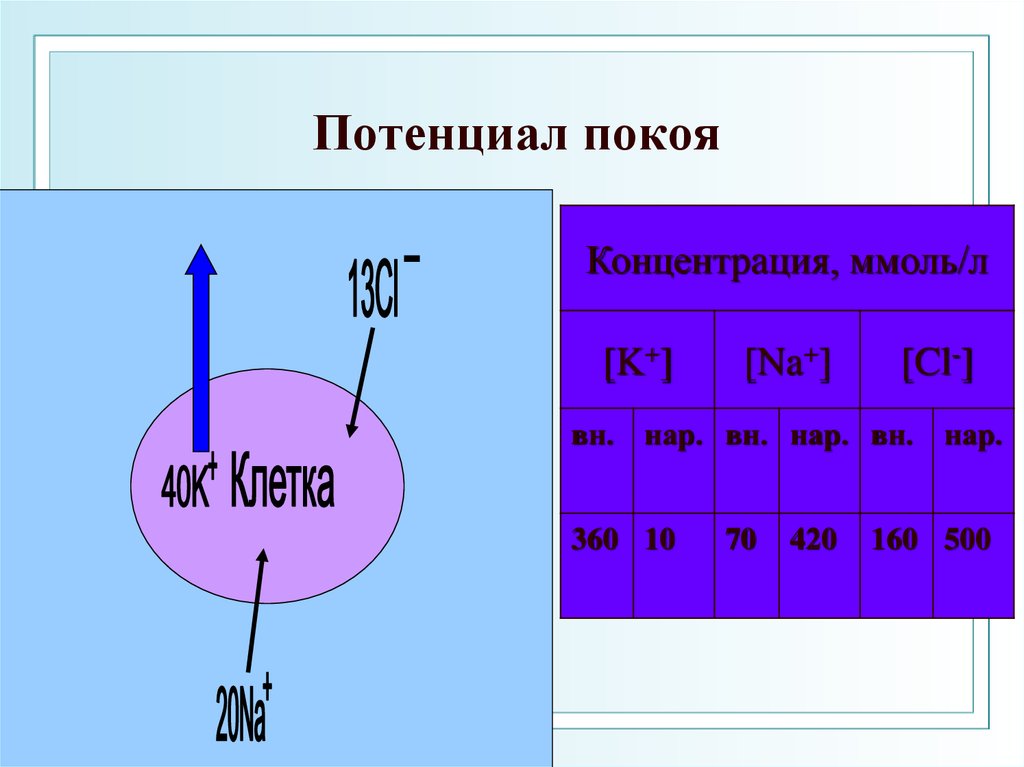 Потенциал клетки. Потенциал покоя. Потенциал покоя клетки. Потенциал покоя рисунок. Потенциал покоя образование.