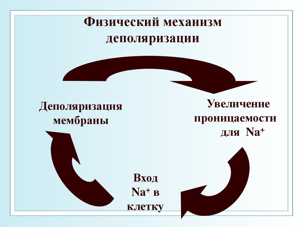 Физические механизмы