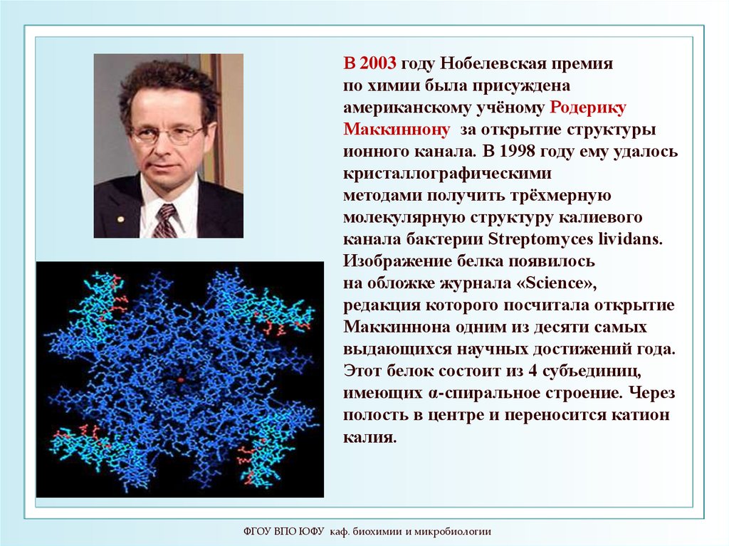 Открытие структуры. Нобелевская премия за открытие структуры антител. Родерик МАККИННОН. Небольшое сообщение о киноне. Биофизика yчёный имя.