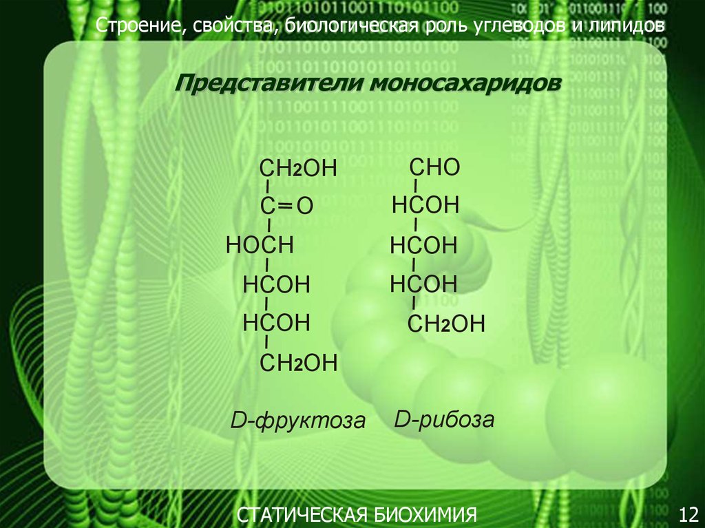 Строение свойства. Структура и свойства основных пищевых углеводов. Олигосахариды их свойства и биологическая роль. Структура пищевых углеводов – Поли-, олигосахаридов.. Основные свойства пищевых углеводов олигосахаридов.