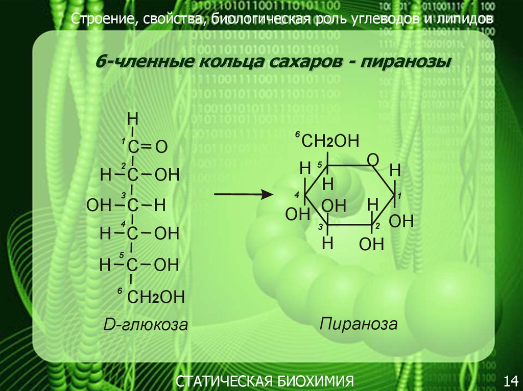 Строение углеводов. Химическое строение углеводов биохимия. Углеводы строение и биологическая роль. Структура углеводов и липидов. Строение углеводов и липидов.