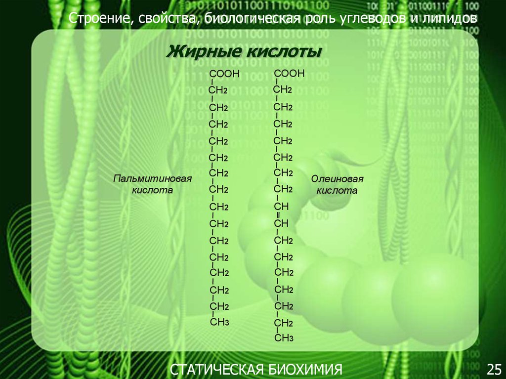 Тест углеводы 10 класс ответы. Тест углеводы с ответами. Тест углеводы 10 класс химия с ответами. Углеводы липиды и белки тест. Тест углеводы 10 класс химия.