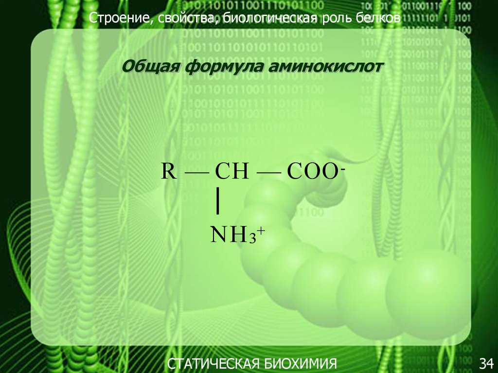 Биохимия белков. Формулы белков биохимия. Общая формула белка биохимия. Белки биохимия формулы. Статическая биохимия.