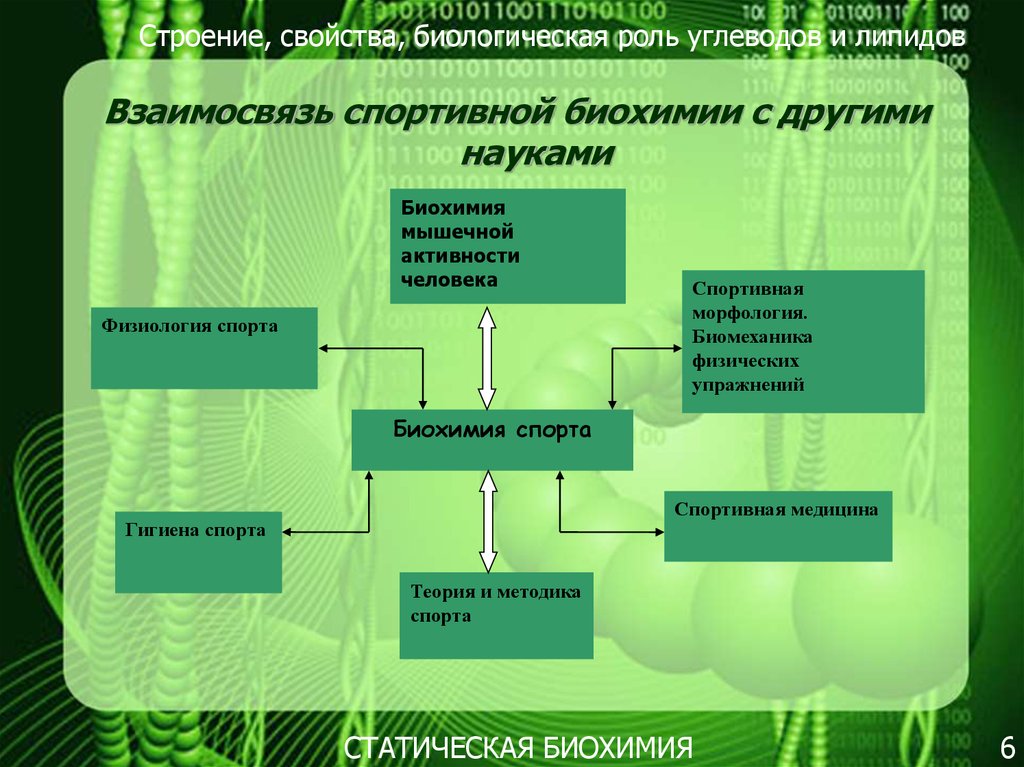 Биологические свойства человека