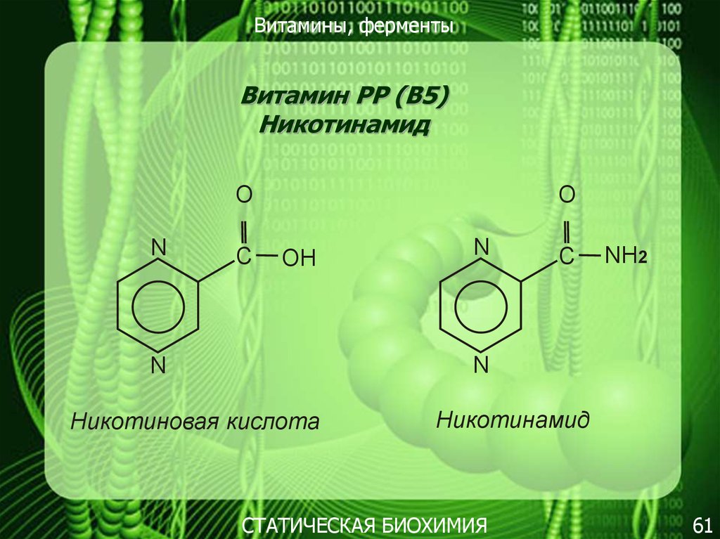 Энзим витамины. Витамины и ферменты. Статическая биохимия. Презентация по биохимии витамины. Классификация витаминов биохимия.