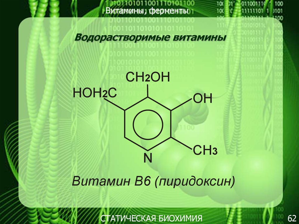 Витамины и ферменты картинки