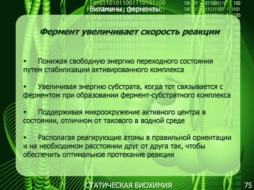 Повышены ферменты. Ферменты увеличивают скорость реакции. Каждый фермент ускоряет:. 1 Фермент ускоряет. Фермент ускоряющий сон.