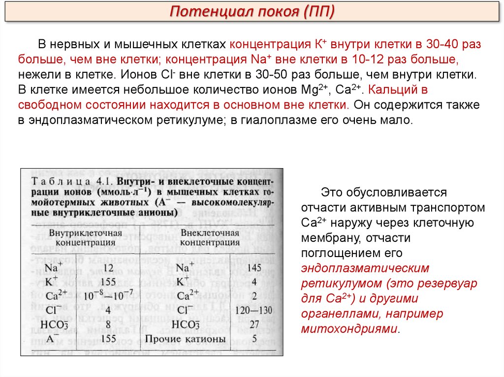 Катионы и анионы клетки. Концентрации ионов внутри и снаружи клетки. Концентрации ионов в клетке и вне клетки. Потенциал покоя концентрация ионов. Ионы хлора в потенциале покоя.