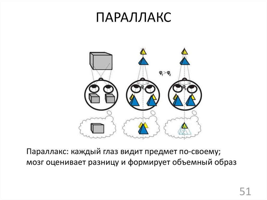 Видит предмет. Каждый глаз видит. Параллакс смотрим правым глазом и левым глазом.