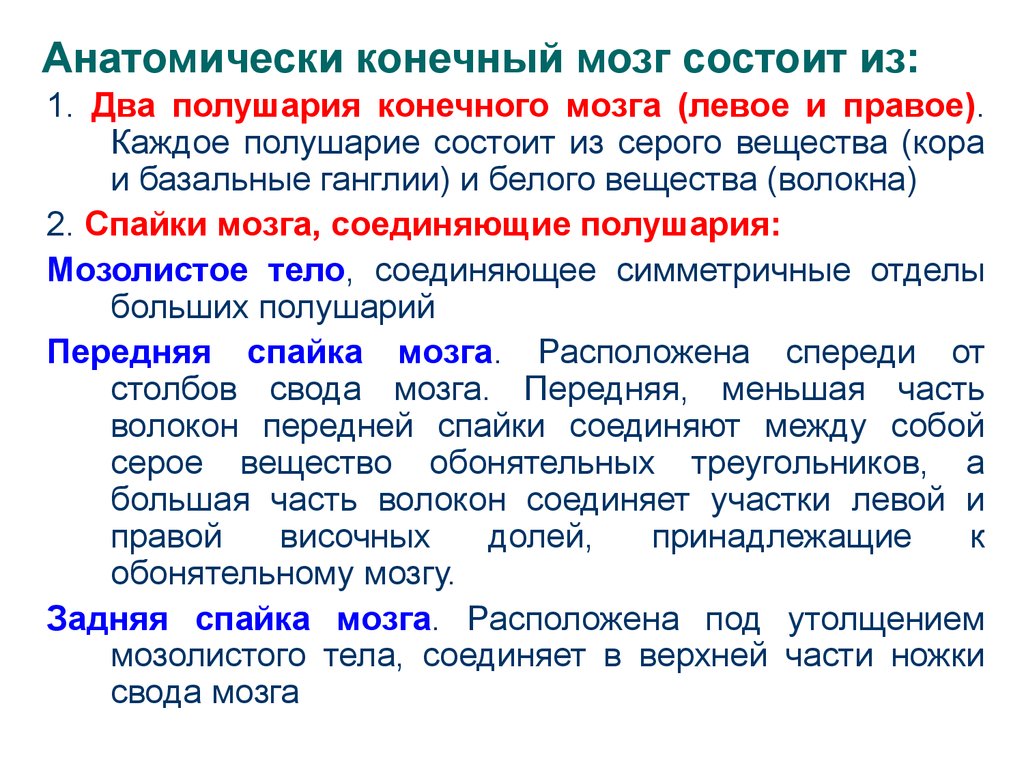 Конечный мозг функции. Конечный мозг состоит. Конечный мозг таблица. Функции конечного мозга кратко. Конечный мозг функции таблица.