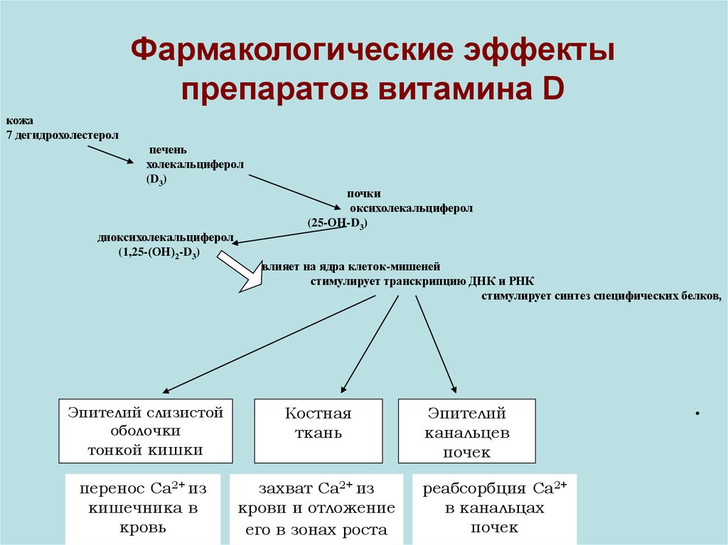 Витамин д фармакология презентация