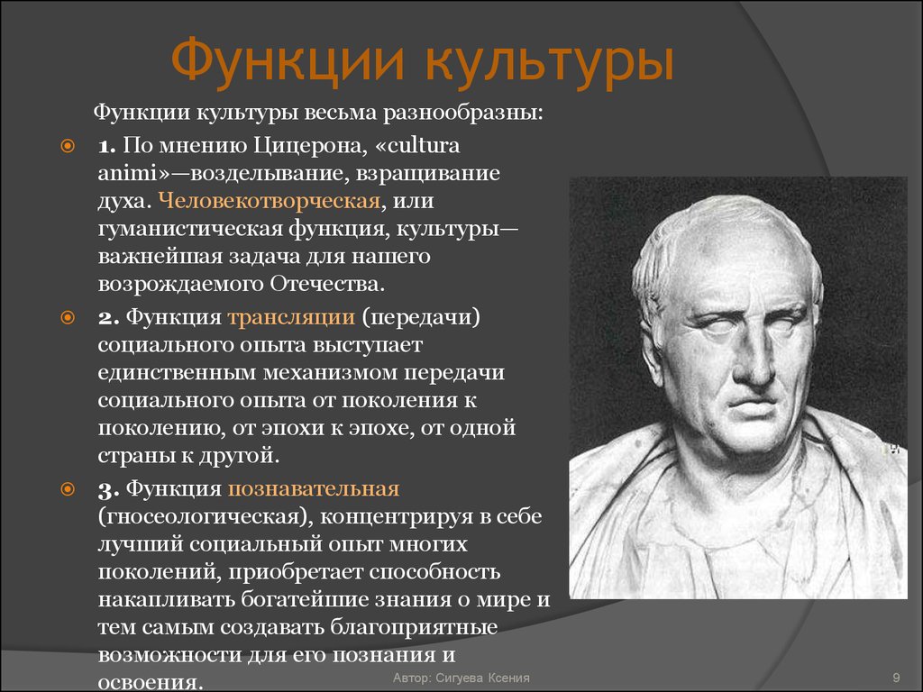 Культурная функция. Функции культуры. Гуманистическая, или человекотворческая функция культуры. Человекотворческая функция. Функции философии в культуре.