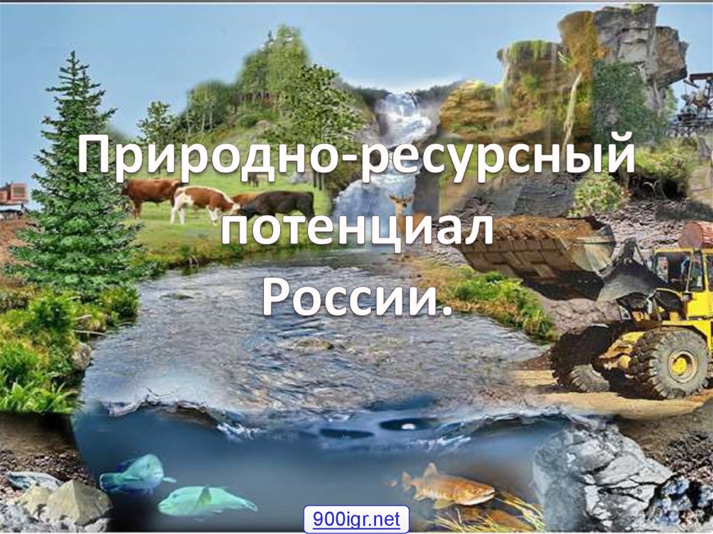 Презентация по географии 8 класс природные ресурсы россии