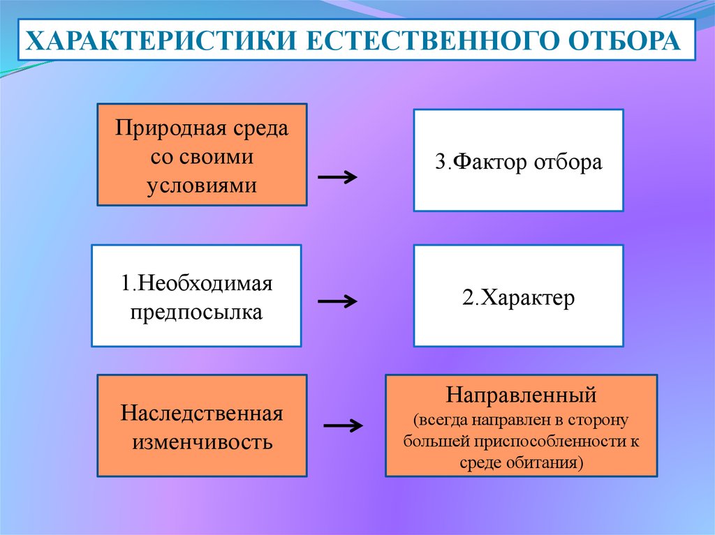 Движущие силы эволюции презентация 9 класс