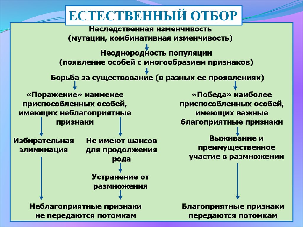 Движущие силы эволюции естественный