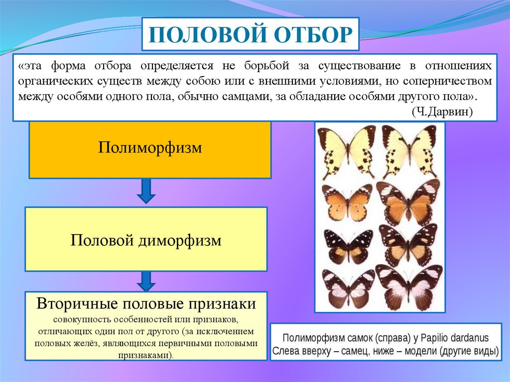 Формы естественного отбора презентация