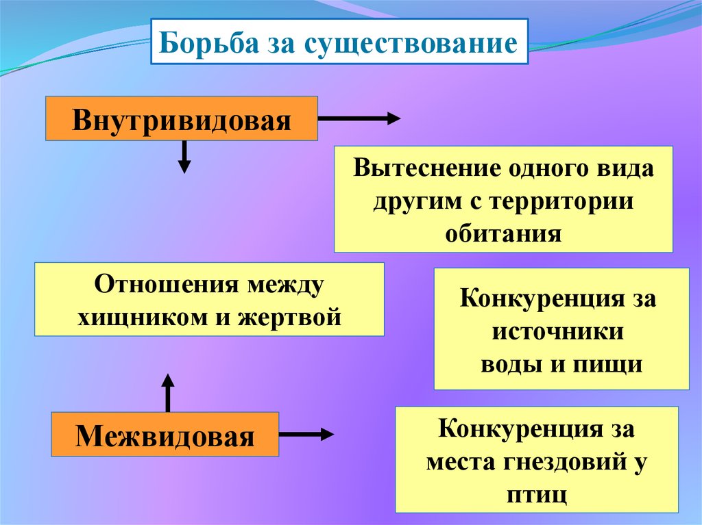 Нарисовать схему движущие силы эволюции