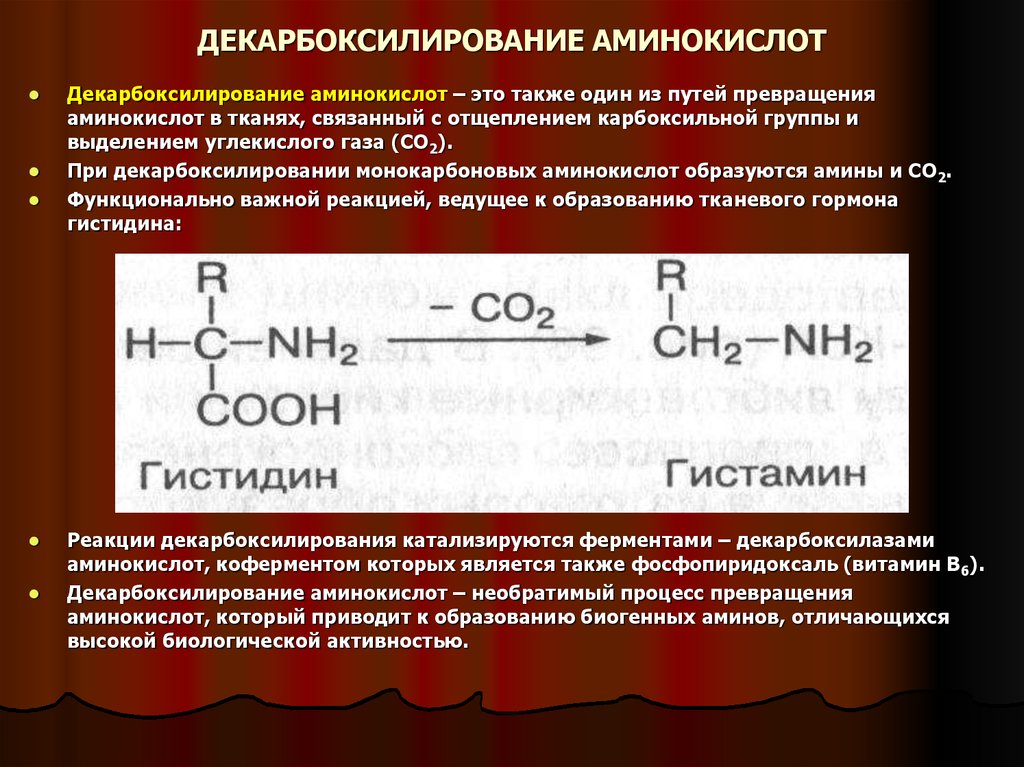 Какая реакция. Продукты реакции декарбоксилирования аминокислот. Декарбоксилирование 2-аминопентандиовой кислоты. Декарбоксилирование Альфа аминокислот. Декарбоксилирование аланина продукт.