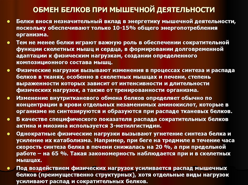 Обмен веществ при нагрузке. Мышечная работа и обмен белков.. Белковый обмен при мышечной работе. Обмен белка при мышечной деятельности. Обмен белков при мышечной работе.