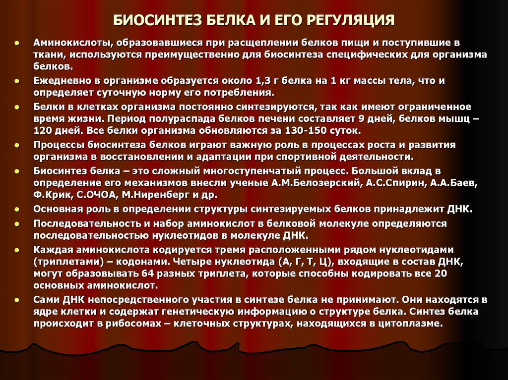 А также белков и. Биосинтез белка и его регуляция. Биосинтез белков и его регуляция. Синтез белка и его регуляция. Регуляция биосинтеза белка.