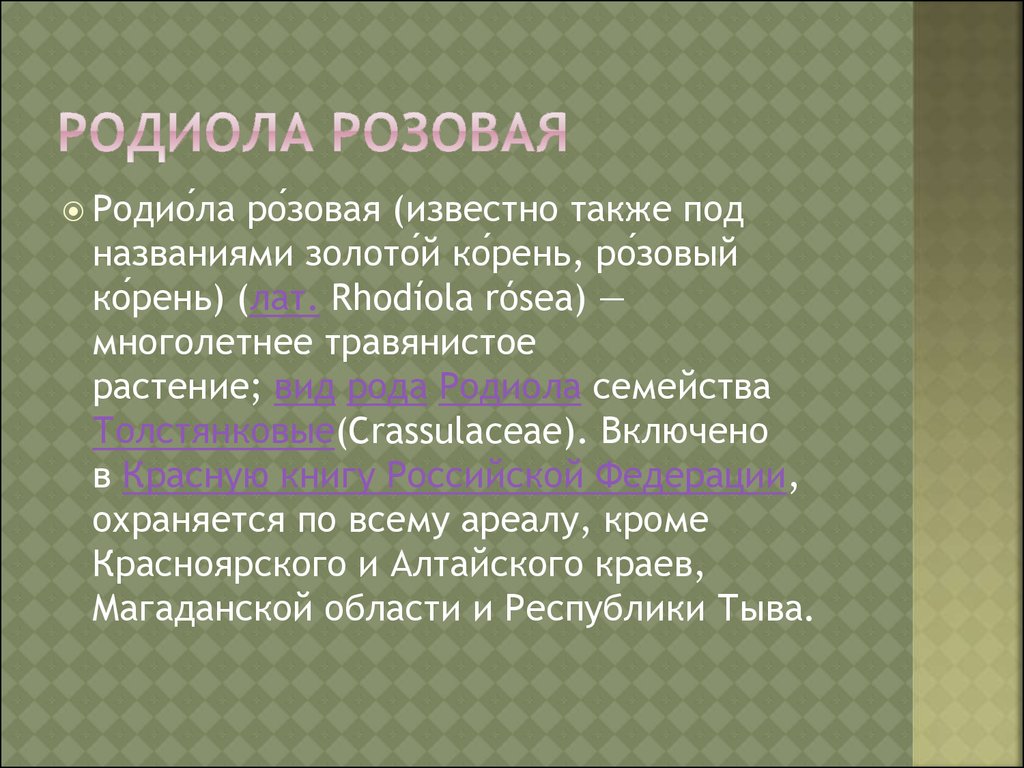 Золотой корень. История и применение - презентация онлайн