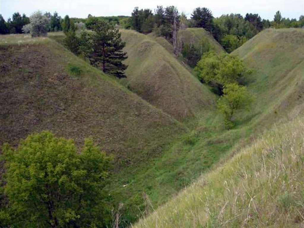 Овражно балочный рельеф фото