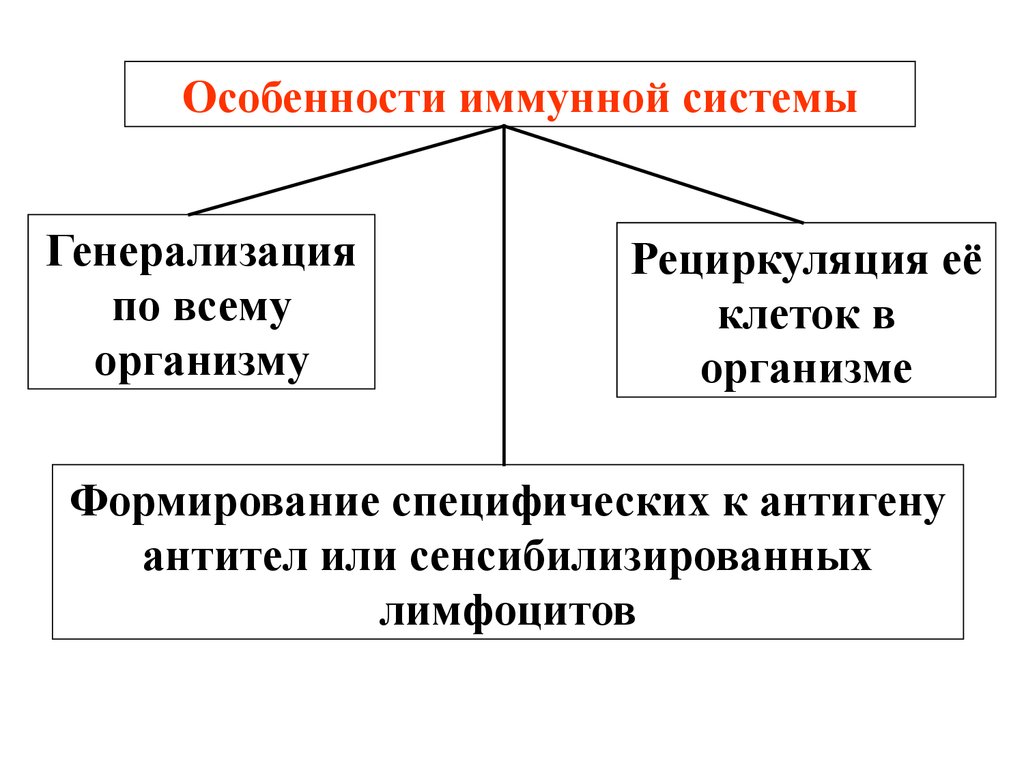 Свойства иммунной системы человека. Особенности иммунной системы. Характеристика иммунной системы. Назовите особенности иммунной системы.. Иммунная система организма ее особенности.