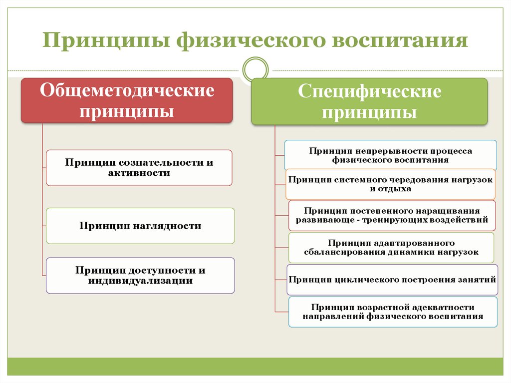 Общешкольный план физического воспитания