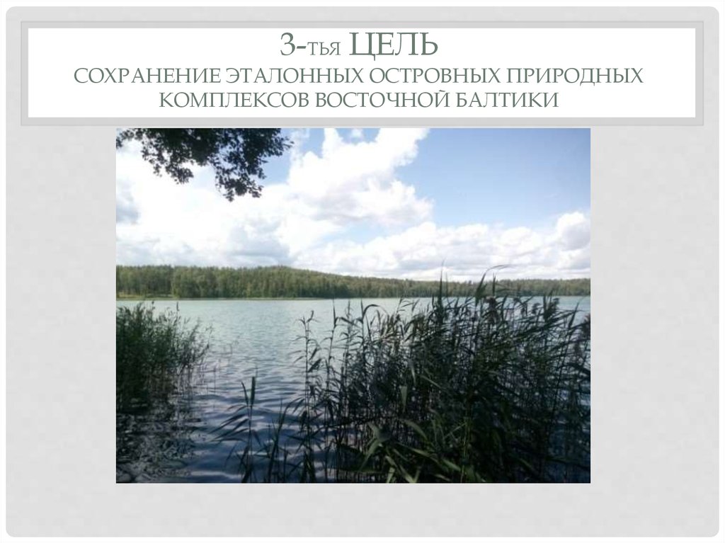 Ингерманландский заповедник - презентация онлайн