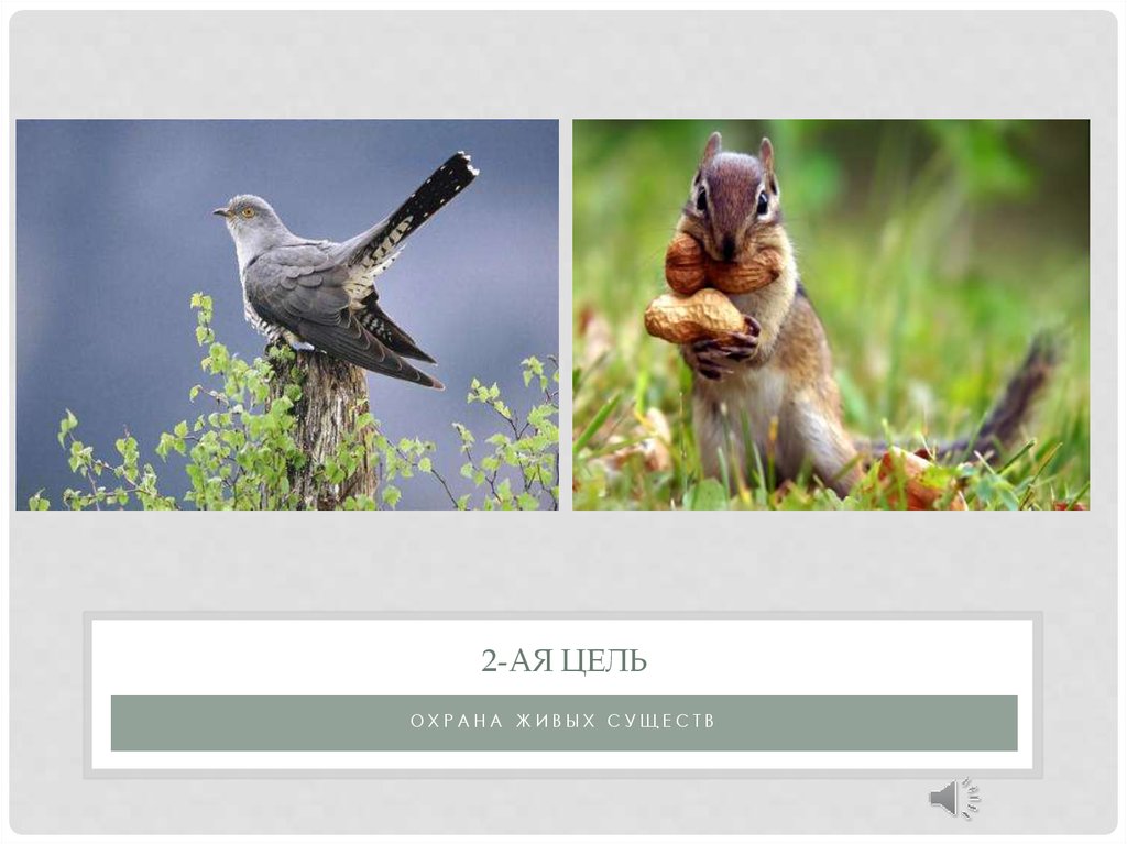 2-ая Цель
