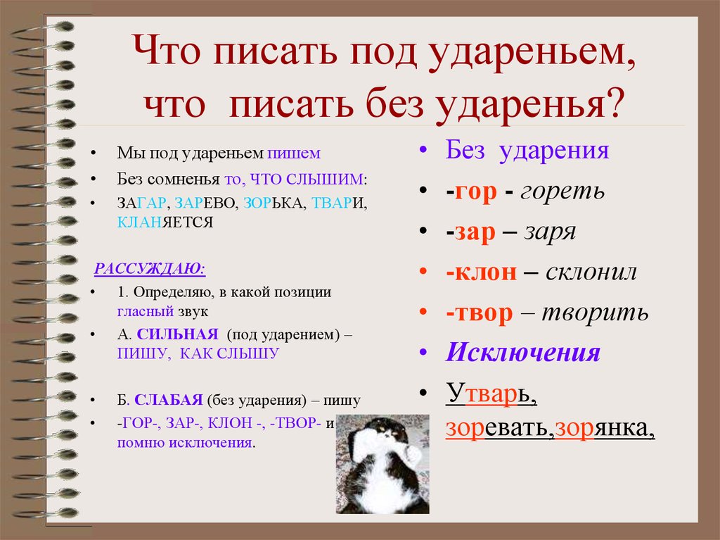 Как пишется клон. Писать и писать ударение. Писать ударение на и. Без сомнения как пишется. Под ударением пишем то что слышим.