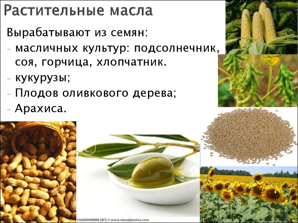 Из какого растения получают ингредиент филобиома актив. Масленичные культуры. Масличные культуры. Семян масличных культур. Масла пищевые растительные.