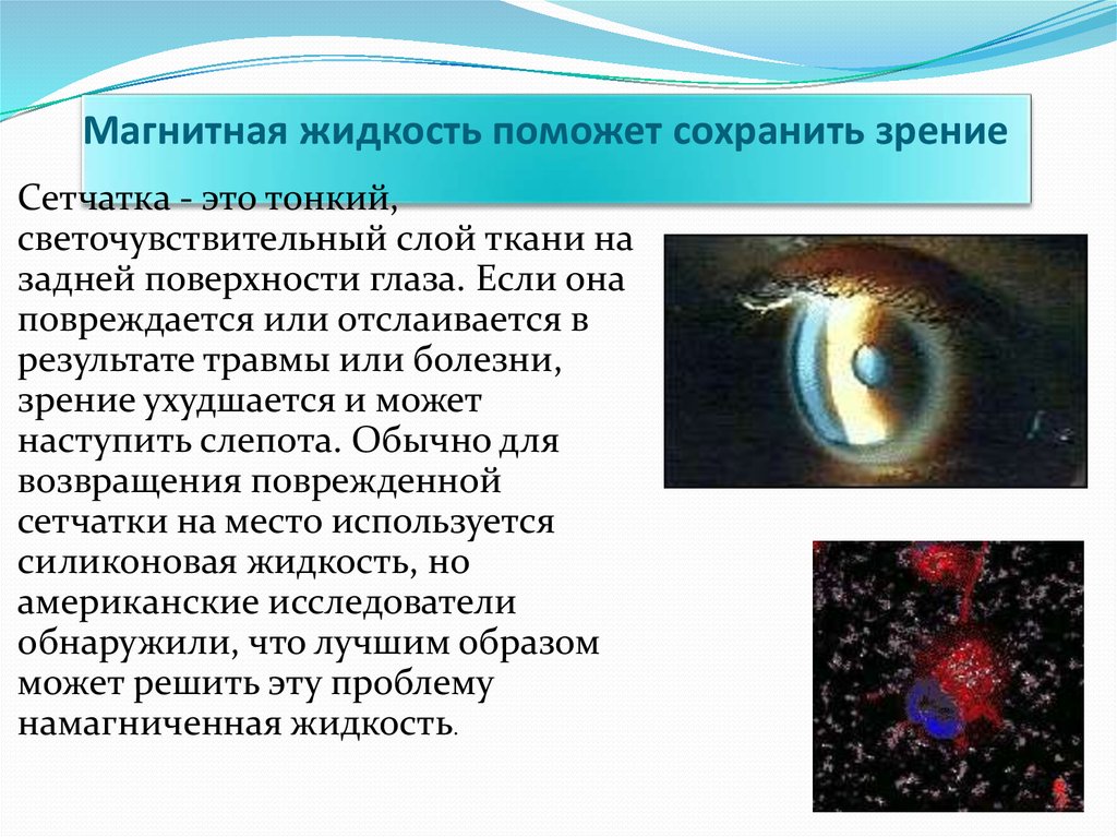 Магнитная жидкость поможет сохранить зрение