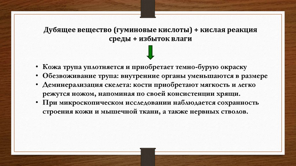 Дубящий эффект это. Физико-химические свойства дубильных веществ. Дубильные вещества в растениях. Гумусовые кислоты. Дубильные вещества в продуктах.